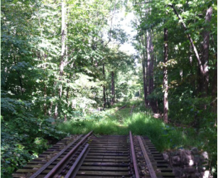 Stories Love Music #2 Losing your Mind, Losing your Self