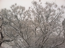 Stories Love Music in the field