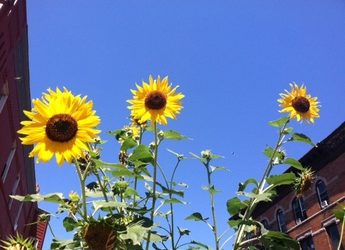 Late summer update: Tales from the field, know your audience